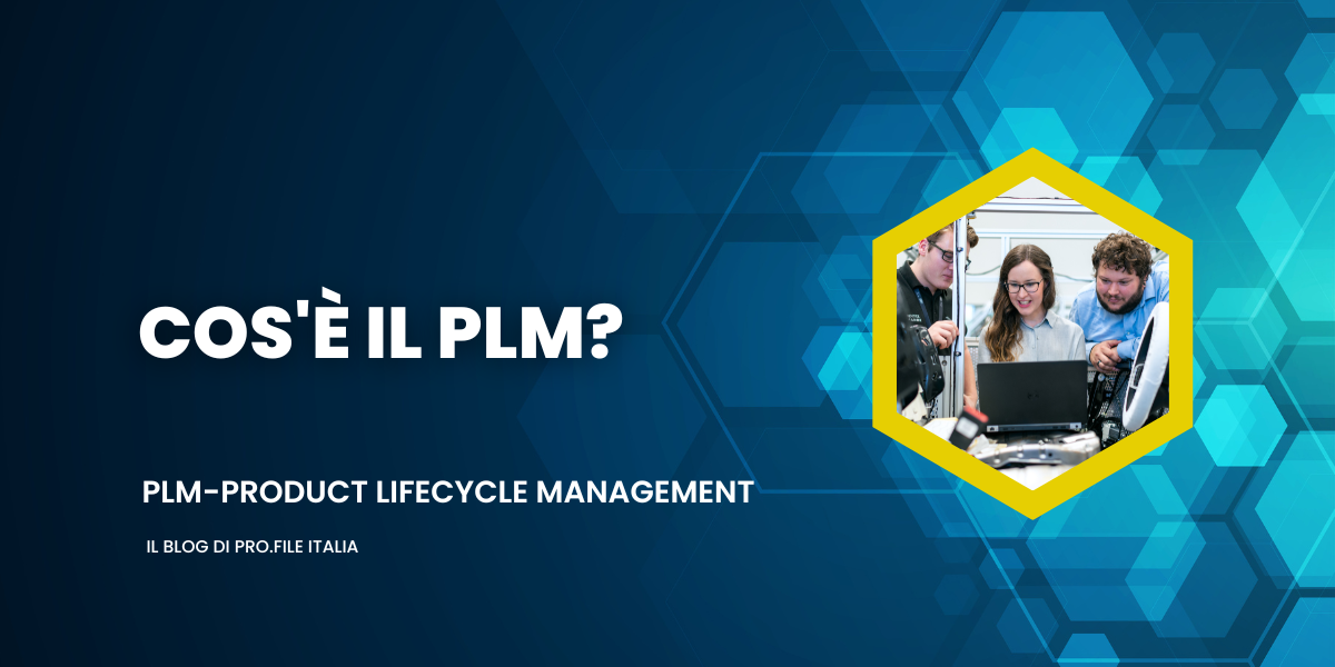 cos'è il PLM?